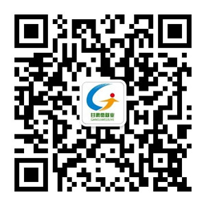 甘肅微就業(yè)